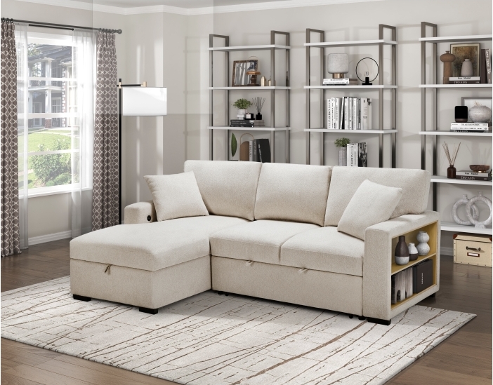 Sleeper Sofas & Chaise Lounge